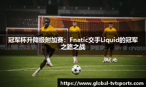 冠军杯升降级附加赛：Fnatic交手Liquid的冠军之路之战