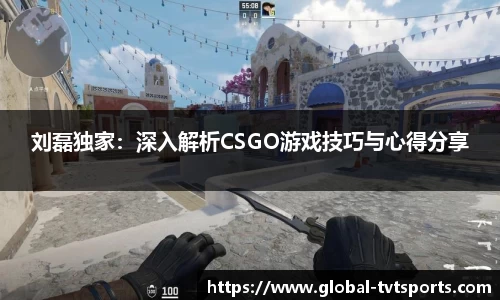 刘磊独家：深入解析CSGO游戏技巧与心得分享
