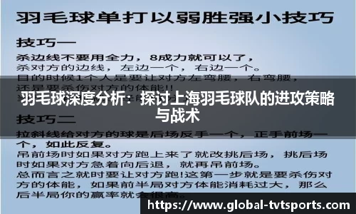 羽毛球深度分析：探讨上海羽毛球队的进攻策略与战术